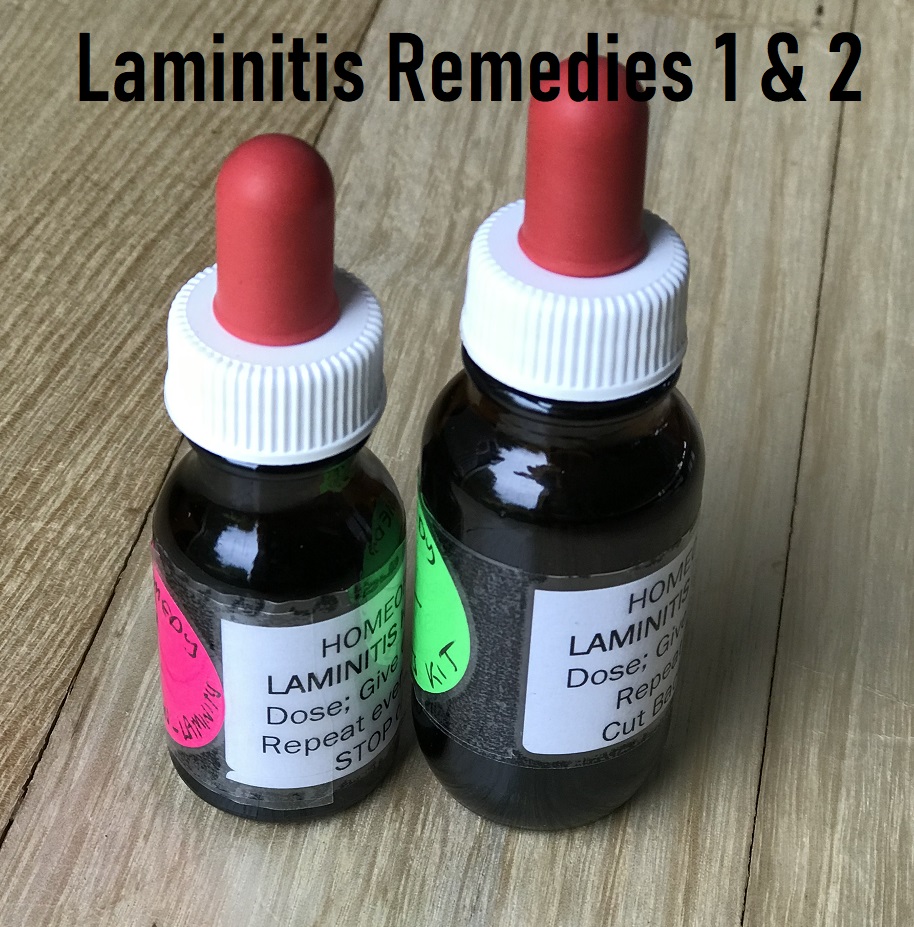 Laminitis Homeopathic remedies 1 & 2 - Belindas Natural Animal Therapies