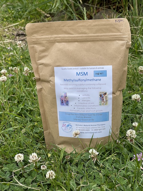 MSM 1kg - Methylsulfonylmethane - Belindas Natural Animal Therapies