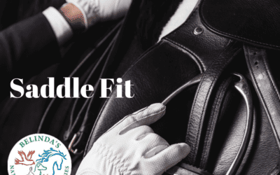 Saddle Fit why is it important
